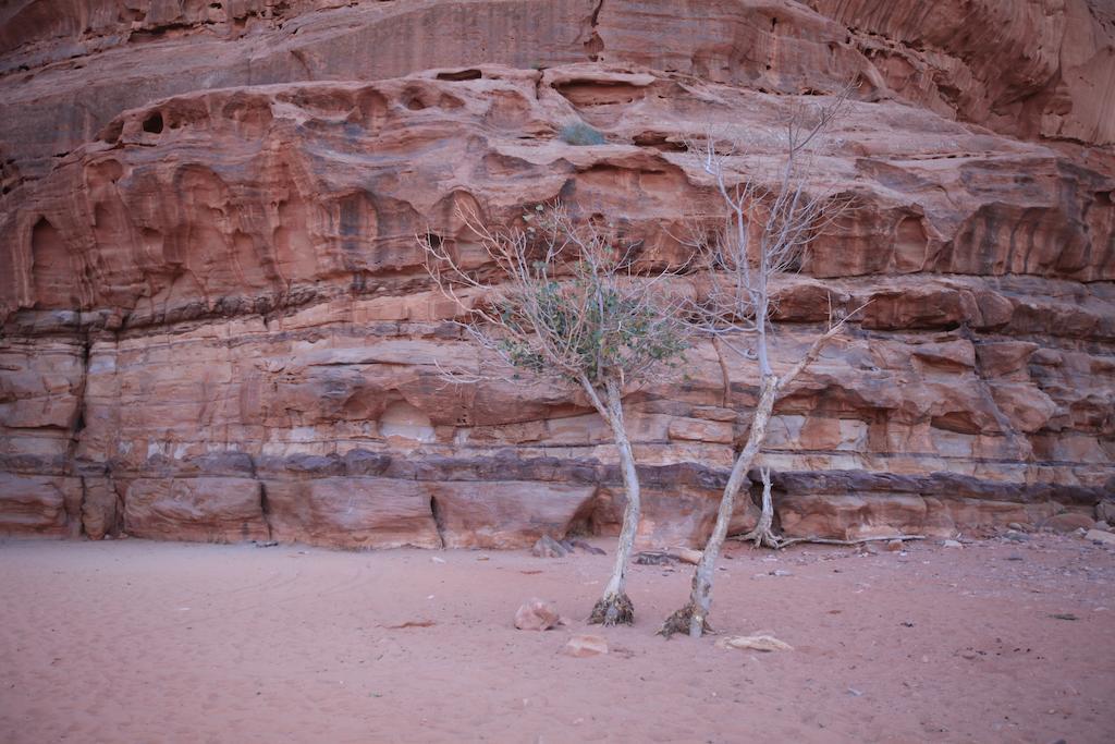 Bedouin Expedition Вади Рум Екстериор снимка